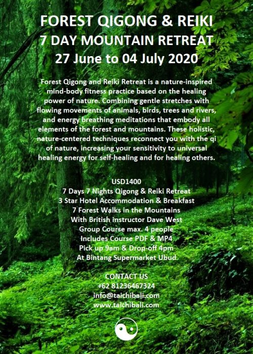 qigong reiki retreat22